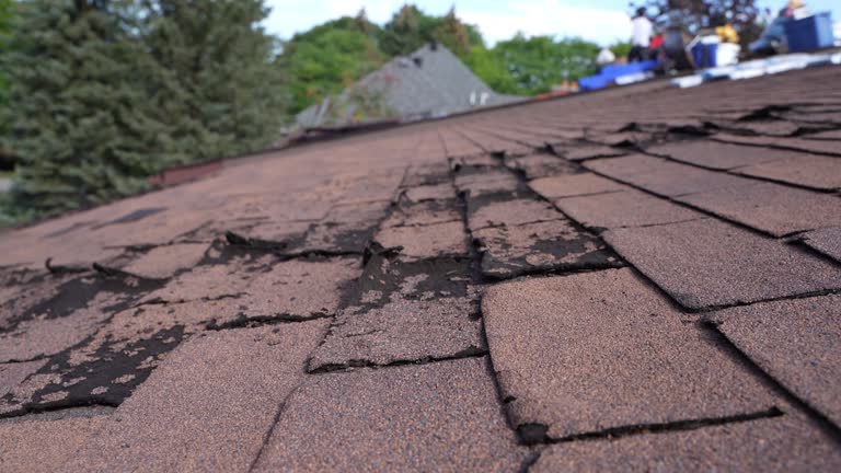 Best Cold Roofs  in Richmond, VA