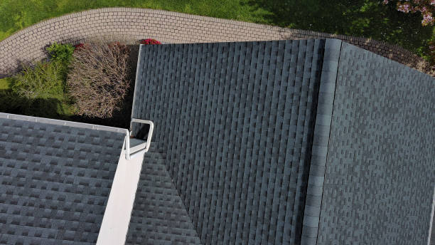 Best Solar Panel Roofing Installation  in Richmond, VA